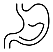 Icon Gut Health Disorders